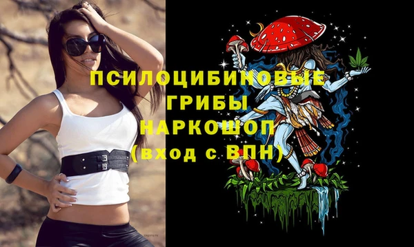 ALPHA PVP Протвино