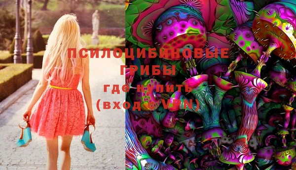 стафф Пролетарск