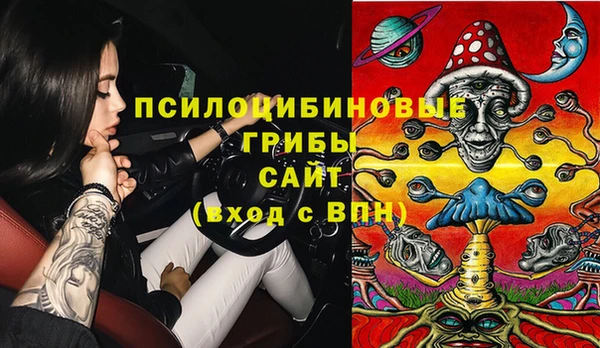 ECSTASY Валдай