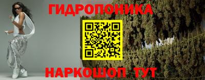 прущие грибы Жуковский