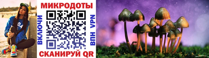 Галлюциногенные грибы GOLDEN TEACHER  хочу   mega сайт  Муром 