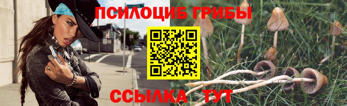 Псилоцибиновые грибы прущие грибы  Галлюциногенные грибы Psilocybe  Вход с VPN  Муром 