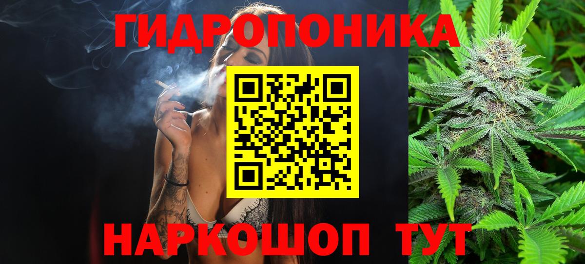 Псилоцибиновые грибы Муром